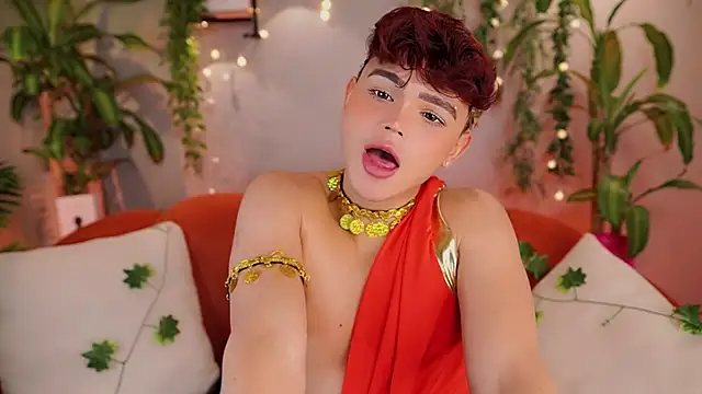 PRINCE_STEV webcam