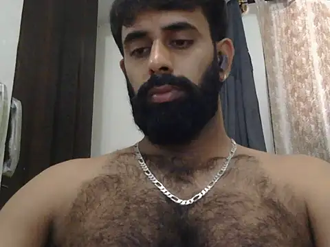 indianhairybull webcam