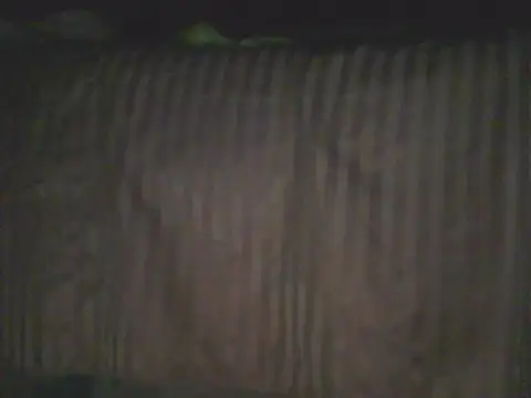 Bebita-zmp webcam