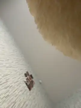 KiraSunshine webcam