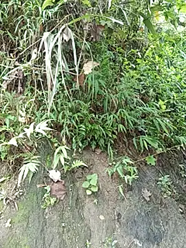 sary-hot2x webcam