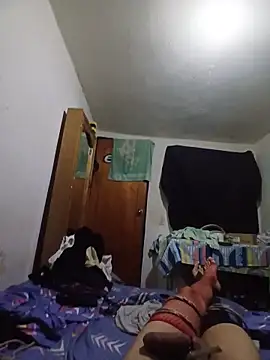 Transdecloset webcam