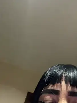 -Brittanny webcam