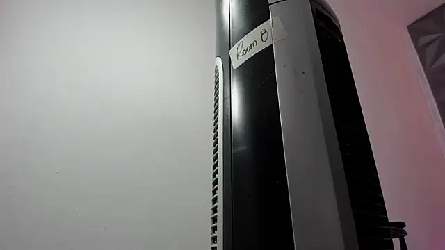 Fayzz_2 webcam