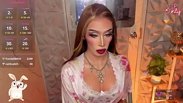 anitacruise webcam