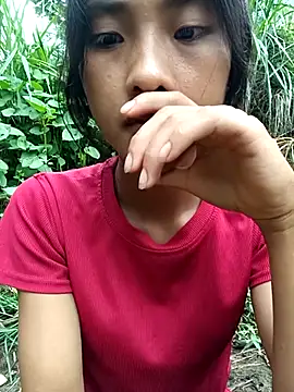 Hoa-tuylip live cam