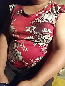 Ip34 webcam