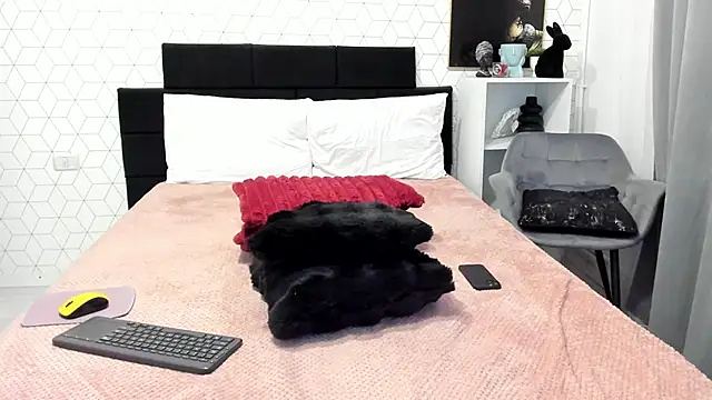 Heidix webcam