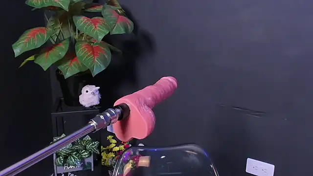 Amy_whittee webcam