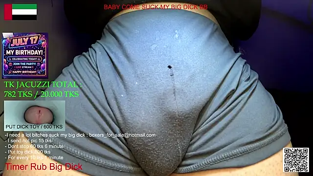 bfs266 webcam
