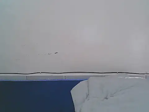 FANCY-CLARA webcam