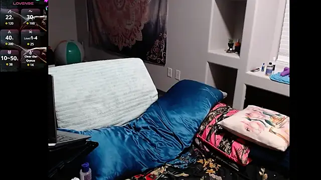 ReeseZen webcam