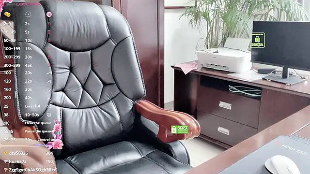 Kaixin520 webcam