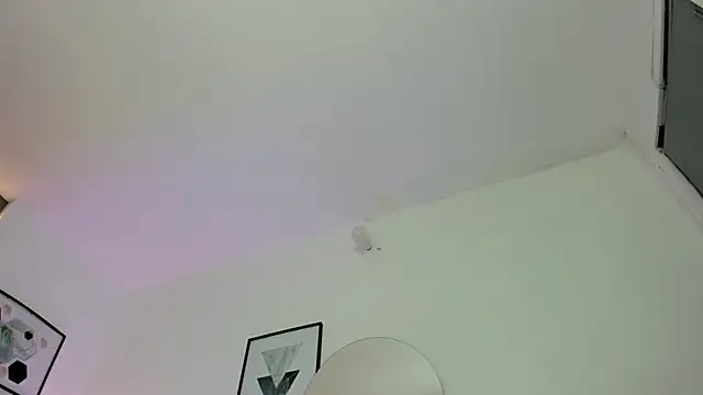 Fayzz_2 webcam