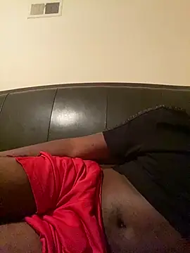 ThickDic28 webcam