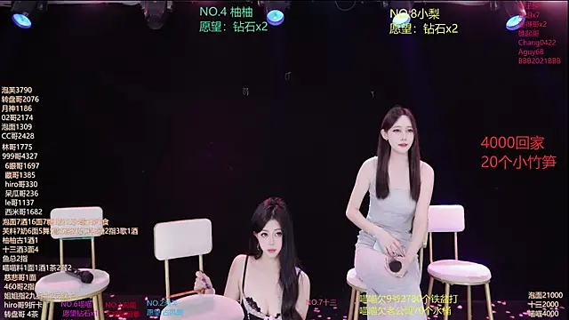 RV-525- webcam