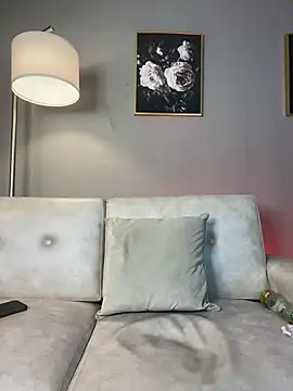 LuisAny webcam