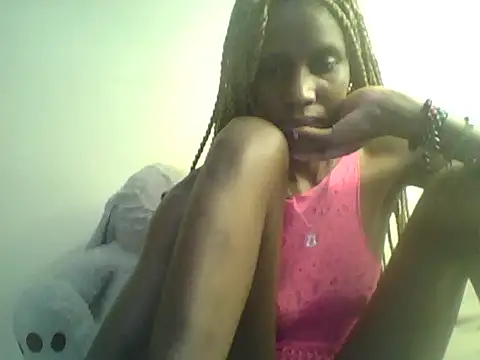 DelteAfriq webcam