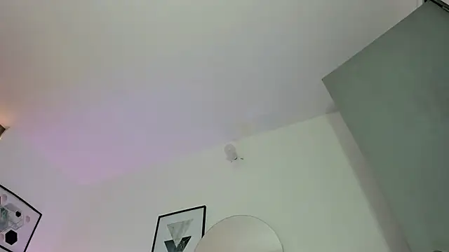 Fayzz_2 webcam