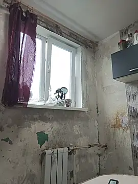 Dimentrius webcam