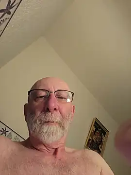 briochin webcam