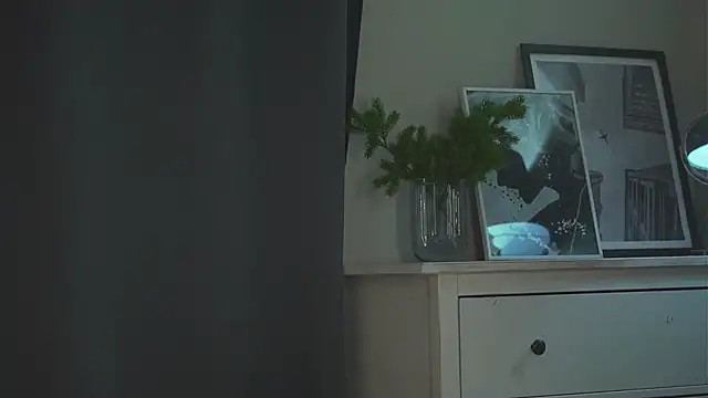akumadadrive webcam