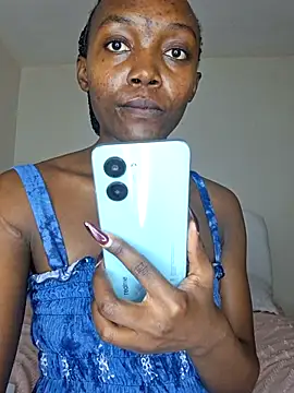 Switdelfy webcam