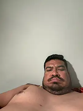 ThickD619 webcam