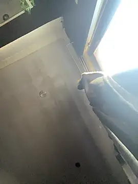 BlueIceCube webcam