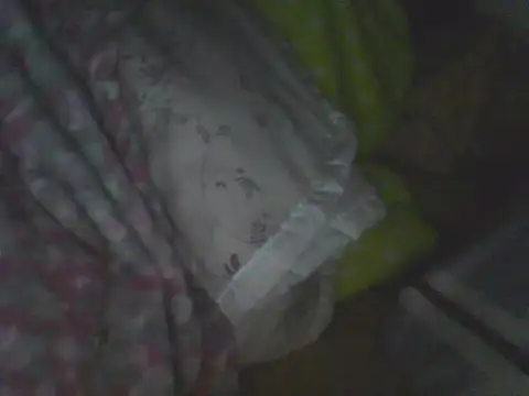 Bebita-zmp webcam
