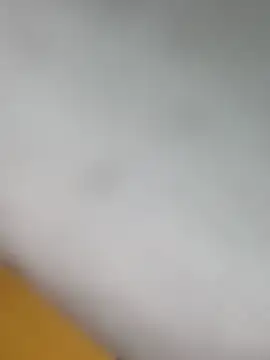 bigdick211292 webcam