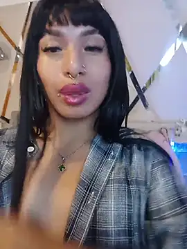 MeelFox webcam