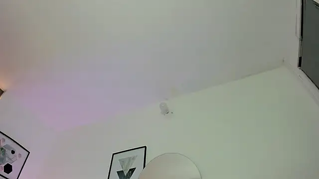 Fayzz_2 webcam