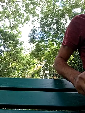 molozeb webcam