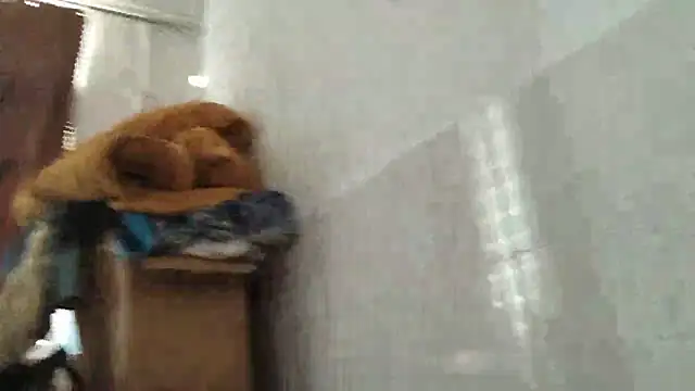 xhqds webcam