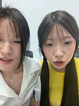 YY-1-1-1 webcam