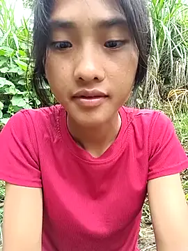 Hoa-tuylip webcam