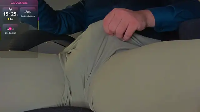 BulgeArt webcam