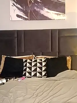 evazul webcam