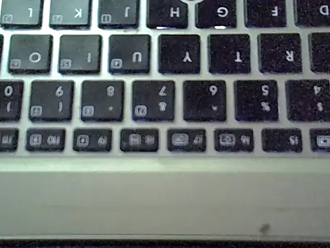 Delicious-D webcam