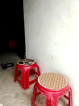 Mirra-a webcam