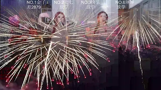 98K_001 webcam
