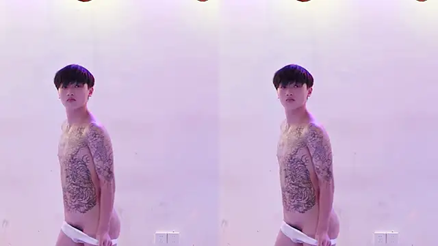 AOA-TYR webcam