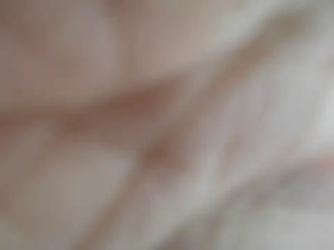 Dasydoll webcam