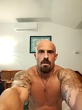 Visto36