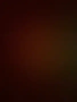 DarkfleX webcam