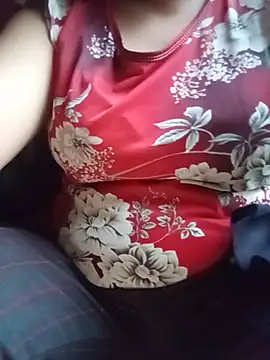 Ip34 webcam