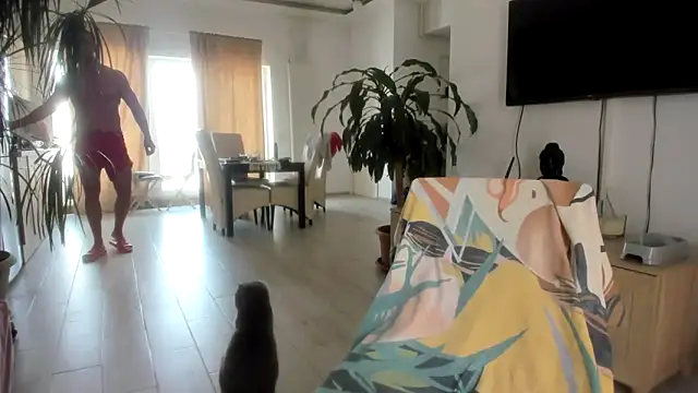 woolfiie webcam