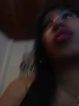 MeelFox webcam