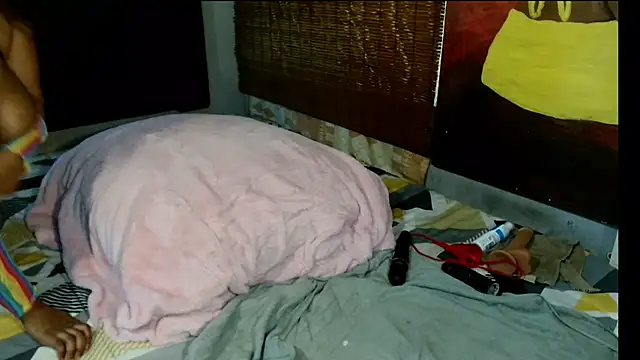 DidyBerry webcam